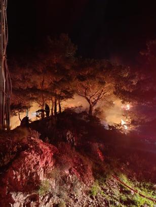 Bodrum’da ormanda çıkan yangın söndürüldü