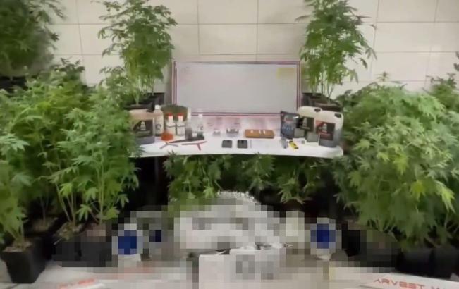 Bursa'da uyuşturucu operasyonu: 1 gözaltı