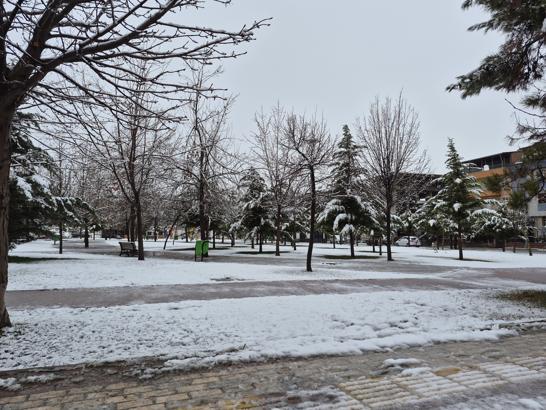 Malatya'da kar yağışı; taşımalı eğitime ara verildi