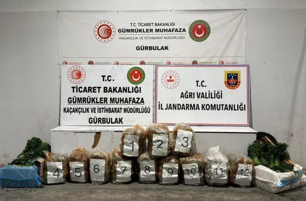 Maydanoz ve dereotu yüklü TIR'dan 51 kilo esrar çıktı