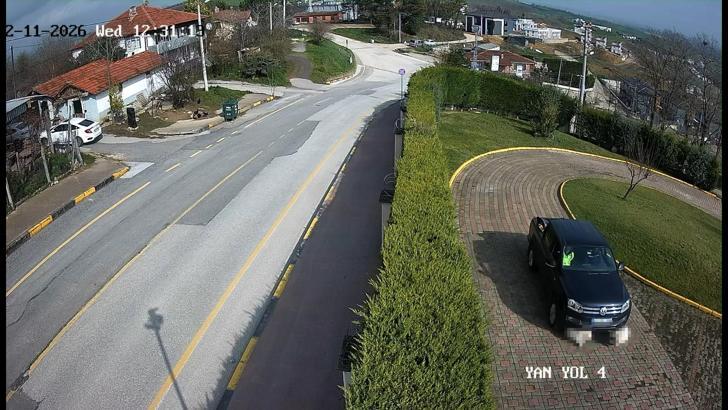 Sakarya Valiliği'nden 'köpek' ölümüne ilişkin açıklama