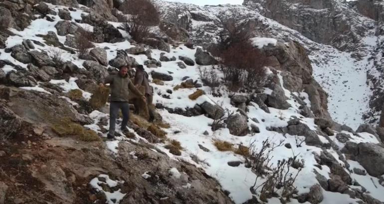 Demirkazık’ta yaban hayatını destekleme çalışması sürüyor