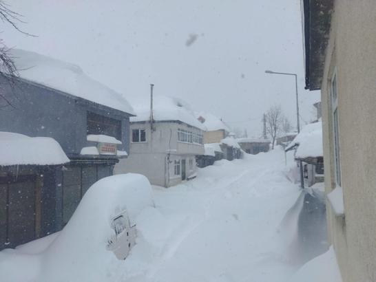 Ordu'nun Çambaşı Yaylası’nda kar kalınlığı 1,5 metreye ulaştı