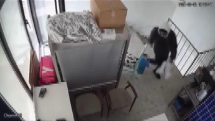 İstanbul - Kadıköy’de iş yerinden laptop hırsızlığı kamerada