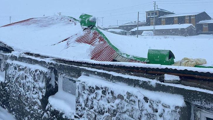 Çatısında kar biriken 2 ahır çöktü; 4 büyükbaş hayvan öldü
