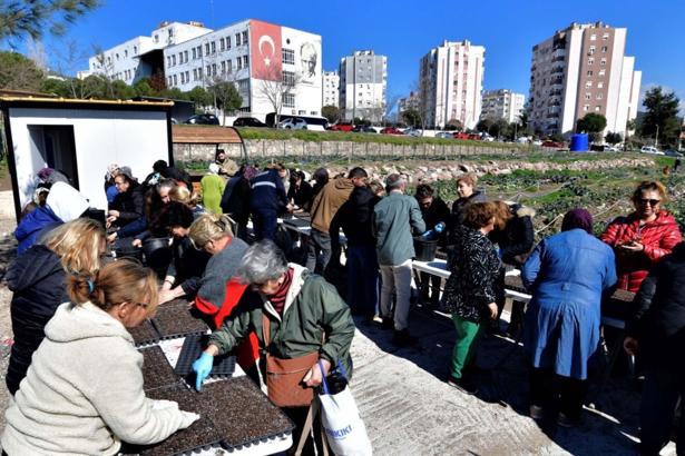 Kent Bostanlarında yaz mesaisi başladı