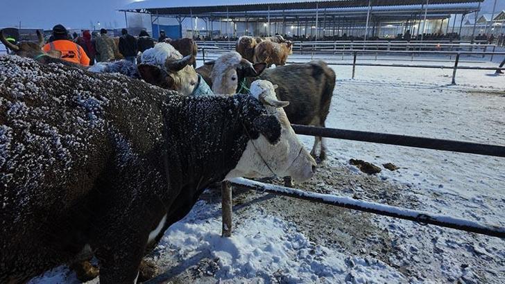Kış şartları, Türkiye'nin en büyük hayvan pazarını olumsuz etkiledi