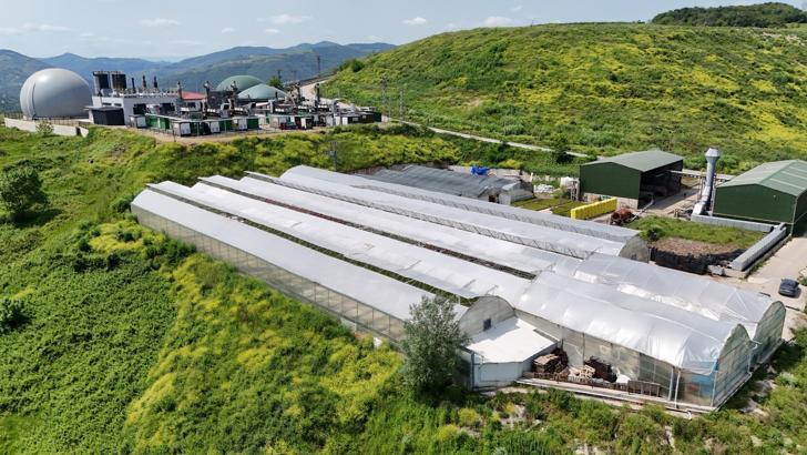 Samsun’da çöpten elde edilen ısıyla seralarda çiçek üretiliyor