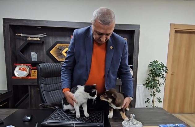 Başkanın makamı Mia ve Fındık’ın yuvası oldu