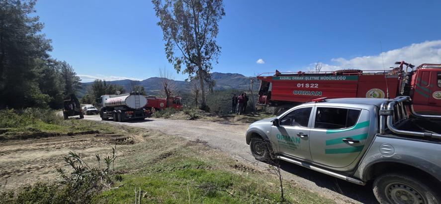 Osmaniye'de orman yangını (2)