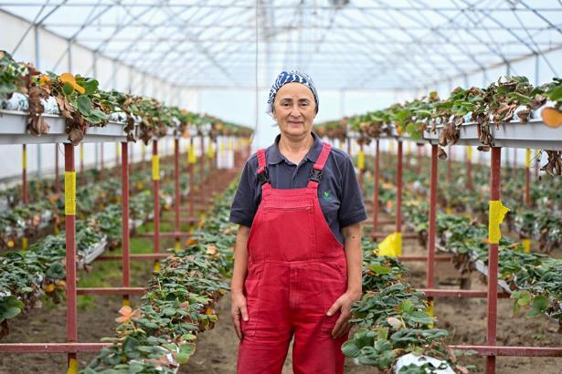 BAU Farm'da üretimin gücü 'kadınlar'