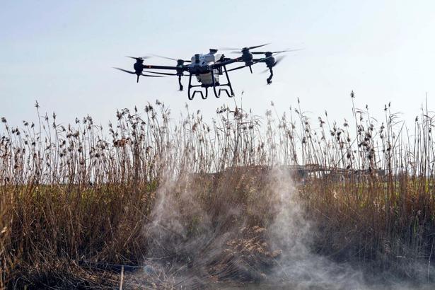 Sivrisinek ve zararlılara karşı İzmir modeli