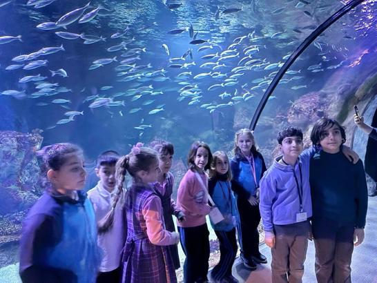 İzmir'de öğrenciler deniz canlılarını yakından gözlemledi