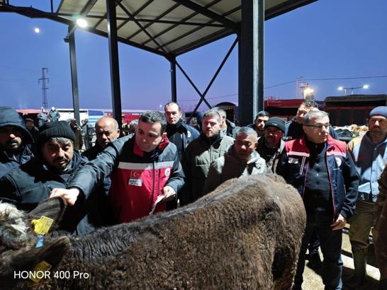 Havsa canlı hayvan pazarında denetim
