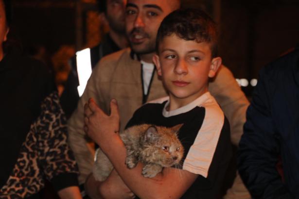 Yangında dairede mahsur kalan kedi 'Duman'ı itfaiye kurtardı