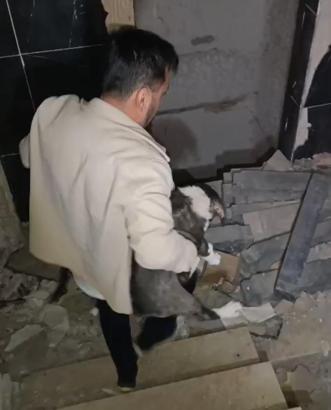 Ağır hasarlı binada mahsur kalan yavru köpekler kurtarıldı