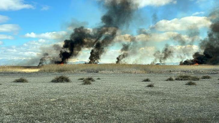 Sultan Sazlığı Milli Parkı'nda yangın