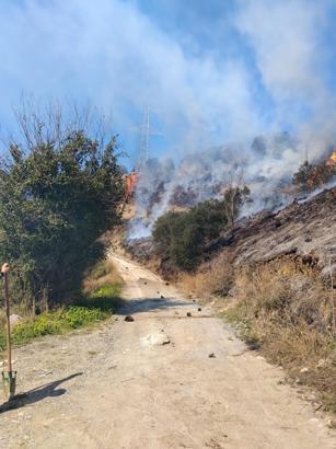 Hatay'da bahçe yangını söndürüldü