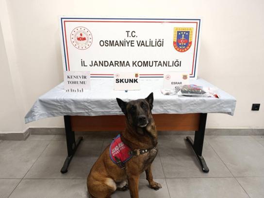 Osmaniye’de jandarma son bir haftada 99 şüpheliyi yakaladı
