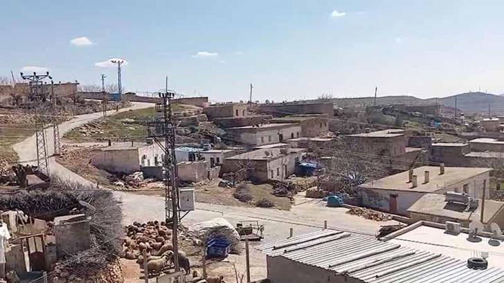 İnekteki kuduz şüphesi nedeniyle mahalle karantinaya alındı