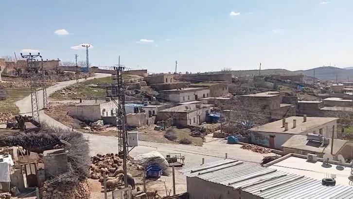 İnekteki kuduz şüphesi nedeniyle mahalle karantinaya alındı