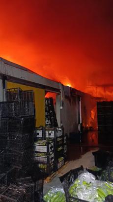 Antalya'da muz paketleme ve sarartma tesisinde yangın