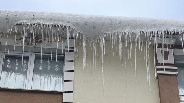 Kars'ta kar yağışı etkili oldu