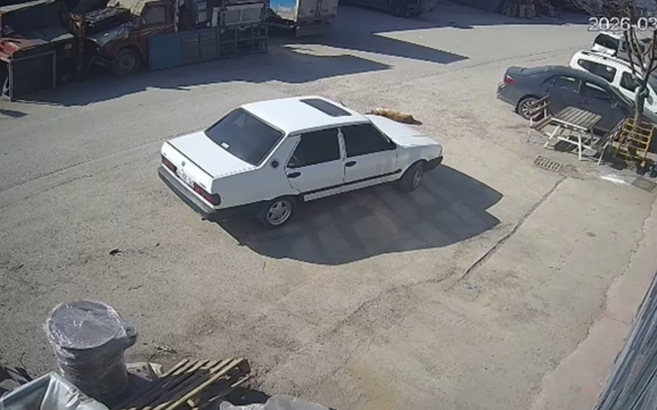 Yerde yatan köpek, otomobilin altında kaldı