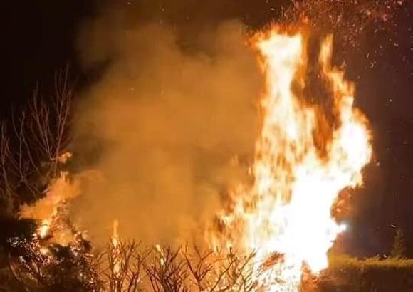 Parkta çıkan yangında ağaç zarar gördü