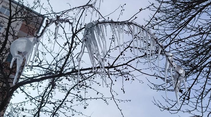 Kars'ta ağaçlar buz tuttu