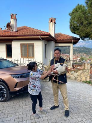 Bitkin düşen leylek, tedaviye alındı