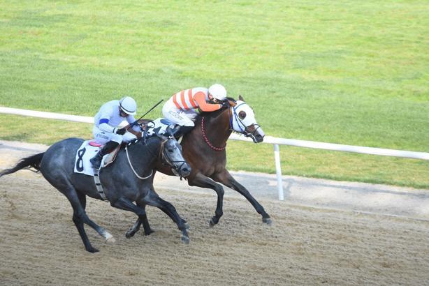 İzmir'de 64'üncü Hipodrom.com Ege Derbisi'nin kazananı The Protecter