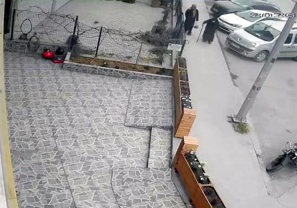 Avcılar’da bastonla geldi; iş yeri önündeki çiçekleri kökünden söküp çaldı