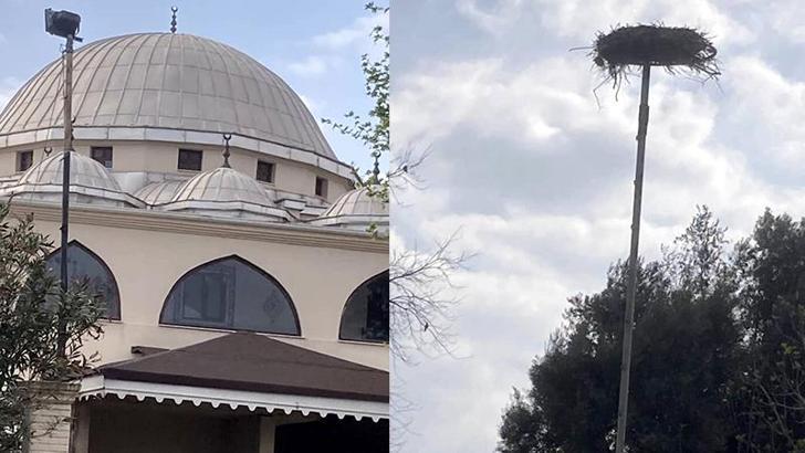 Yaban hayatı gözlemcisinden leyleğin bozulan yuvası için çağrı