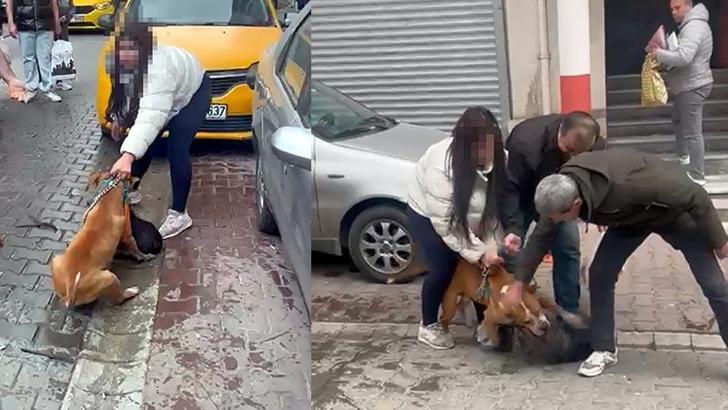 Saldırdığı köpeği ağır yaralayan Pitbull'a el konuldu, sahibine 95 bin lira ceza uygulandı