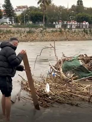 Çayda mahsur kalan kediyi vatandaş kurtardı