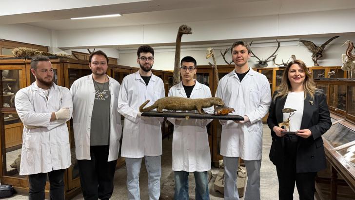 Doldurulmuş hayvan koleksiyonu, müzede korunuyor