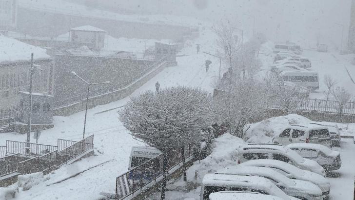 Yüksekova'da kar yağışı etkili oldu