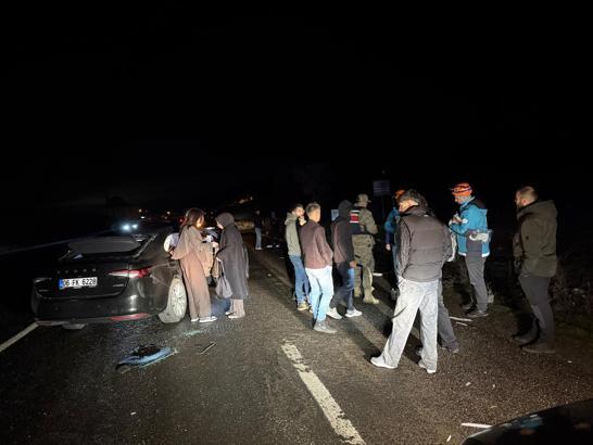 Bingöl’de otomobil ata çarptı: 4 yaralı