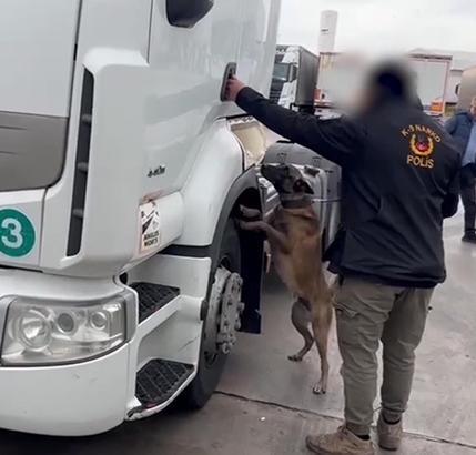 TIR'da 53 kilo skunk ele geçirildi; 2 gözaltı