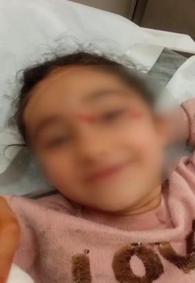 Eyüpsultan'da okuldan eve dönen 6 yaşındaki çocuğa sokak köpekleri saldırdı