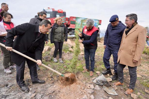 Burhaniye'de 315 fıstık çamı toprakla buluşturuldu