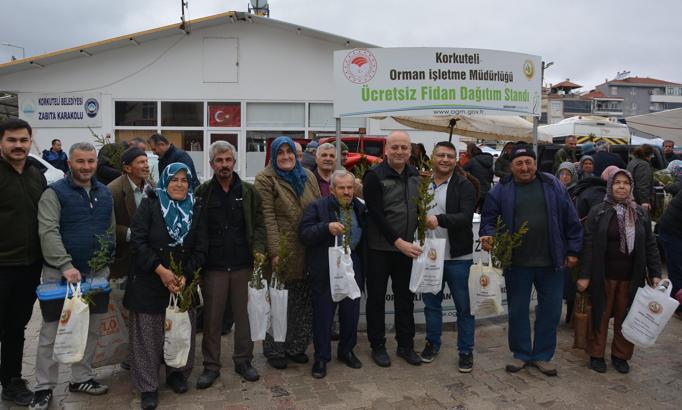 Korkuteli'de fidan dağıtımı