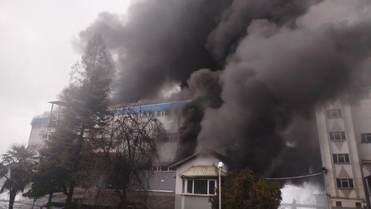 Trabzon'da fındık fabrikasında yangın