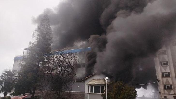 Trabzon'da fındık fabrikasında yangın