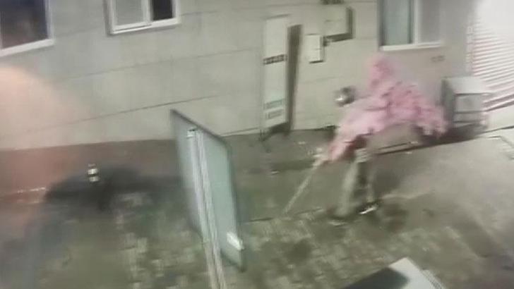 Camı açamayan hırsız, kapıdaki değerli süs ağacını söktü; o anlar kamerada