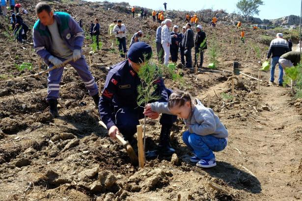 Muğla'da yanan ormanlık alan 2 bin fidanla yeşeriyor