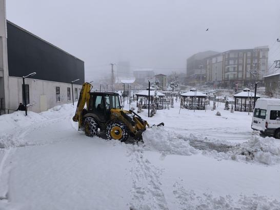 Van'da mart ayının sonunda kar yağışı (2)