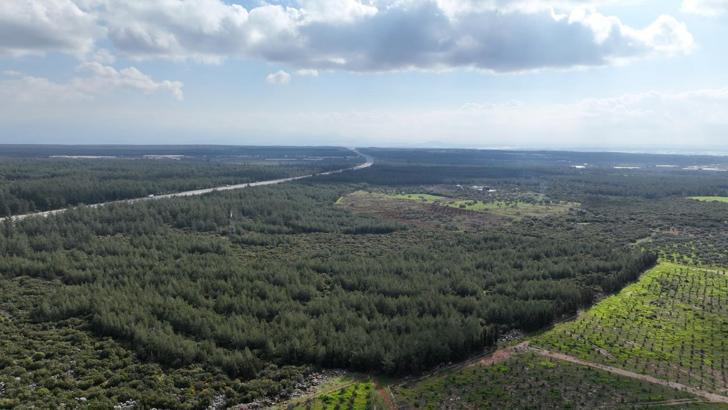 ‘81 İlde 81 Orman’ projesi ilkbahar dikimleriyle devam ediyor