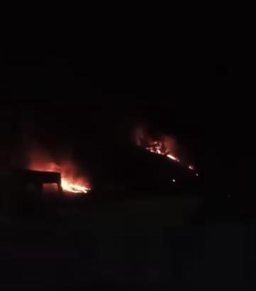 Ormanda çıkan örtü yangını söndürüldü